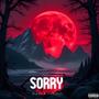 SORRY (feat. 1luhdaii) [Explicit]