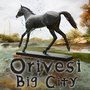 Orivesi Big City