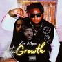 Growth (Explicit)