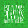 Estragando Plantas (Radio Mix)