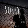 Sorry (feat. Mr.Los) [Explicit]