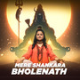 Mere Shankara Bholenath