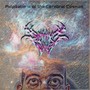 Palpitations of the Cerebral Cosmos (Explicit)