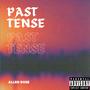 Past tense (Explicit)