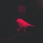 Que Las Aves Nunca Callen (Explicit)