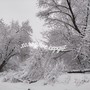 Холодное Сердце