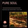 Pure Soul - Meditation And Healing Music Collection