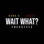 Wait What? (Freestyle) [Explicit]