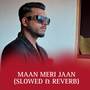 Maan meri jaan (slowed & reverb)