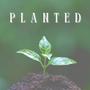 Planted