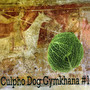 Culpho Dog Gymkhana #1