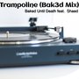 Trampoline (Bak3d Mix)