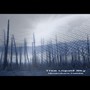 Quantum Fields