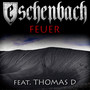 Feuer (feat. Thomas D.)