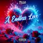 A Endless Love