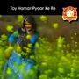 Toy Hamar Pyaar Ke Re (feat. Pawan Roy)