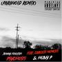 Psychosis (feat. Careless Nemesis & Heavy P) [Paranoid Remix] [Explicit]