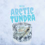 Arctic Tundra (Explicit)