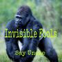 Invisible Fools (Explicit)