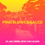 Pink (Slowed Saled) [Explicit]