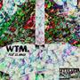 wtm. (feat. RLN Lil Banga) [Explicit]