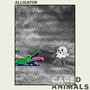 Alligator