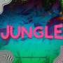 Jungle (Vip Mix)