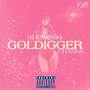 Goldigger (Explicit)