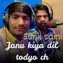 Janu kiya dil todyo ch