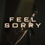 Feel Sorry (Explicit)