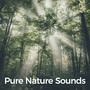 Pure Nature Sounds