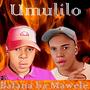 Bafana ba Mawele_Umulilo (feat. DJ PJ, Redical & Dj S'combat)