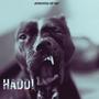 HADDI (feat. Vibhor Beats) [Explicit]