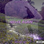 Never Again (Explicit)