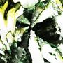 STAYSANER (feat. ANSIA) [Explicit]