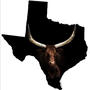 Texas (feat. T. Neal & Eli)