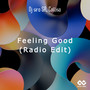 Feeling Good (Radio Edit) [Explicit]