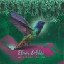 Elixir Colibrí