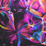 Bittersweet Lullaby (Seismal D Remix)