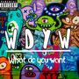 WHAT DO YOU WANT (feat. joenuts) [Explicit]