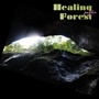 Healing Forest (Explicit)