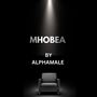 MHOBEA (Extended)