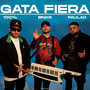 Gata Fiera (Remix)