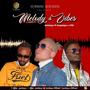 Melody and vibes (feat. CPO & Easysteps)