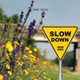 Slow Down (Explicit)