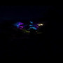 Blick zurück (Explicit)