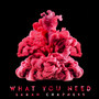 What You Need (Extended Mix)