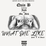 What She Like (Explicit)