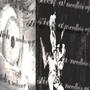 i can give u any **** (feat. cholorofilm & winterdoll) [Explicit]