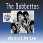 We Shot Mr. Lee